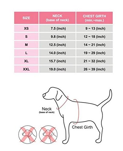Pet Size Guide